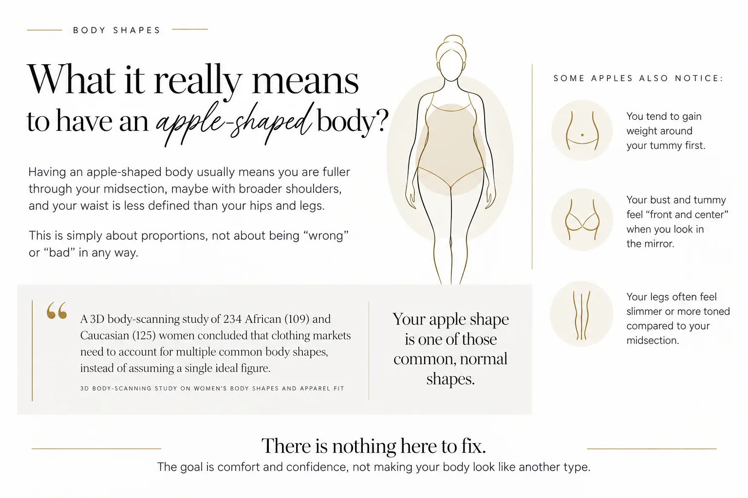 Karen Stauffer Photography editorial illustration explaining what it means to have an apple-shaped body, with a drawn figure and supporting notes.